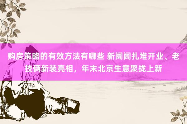 购房策略的有效方法有哪些 新阛阓扎堆开业、老技俩新装亮相，年末北京生意聚拢上新