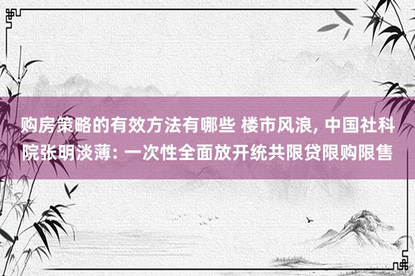 购房策略的有效方法有哪些 楼市风浪, 中国社科院张明淡薄: 一次性全面放开统共限贷限购限售