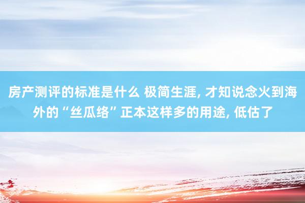 房产测评的标准是什么 极简生涯, 才知说念火到海外的“丝瓜络”正本这样多的用途, 低估了