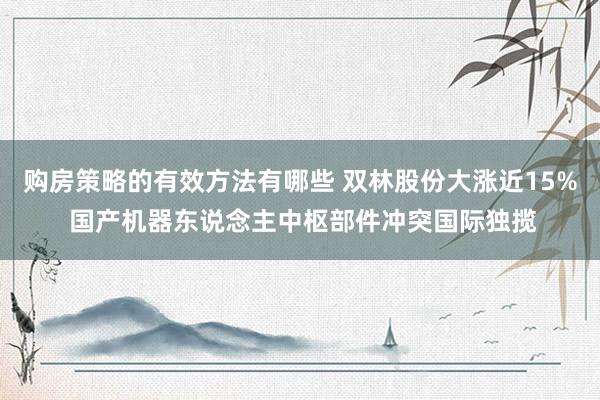 购房策略的有效方法有哪些 双林股份大涨近15% 国产机器东说念主中枢部件冲突国际独揽